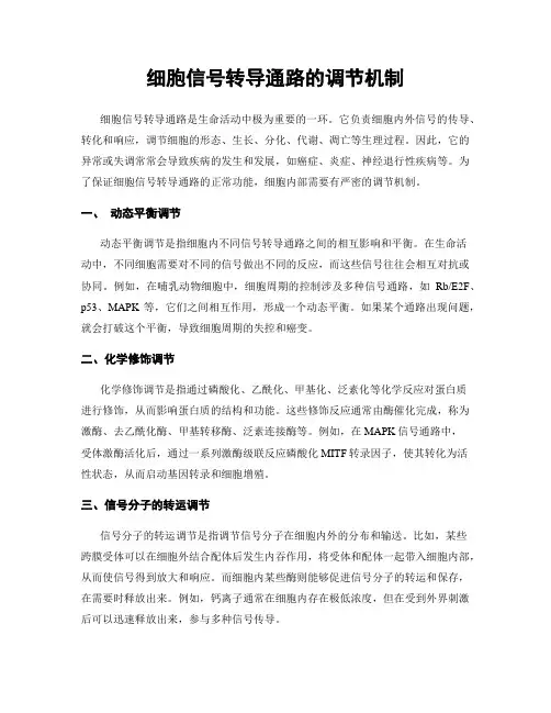 细胞信号转导通路的调节机制