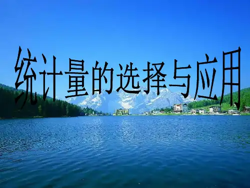 4.5 统计量的选择与应用