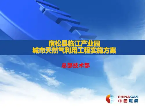 宿松县临江产业园城市天然气利用工程实施方案.新解析