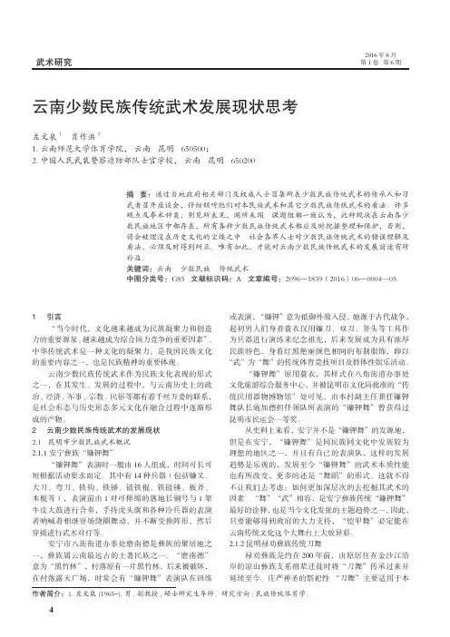 云南少数民族传统武术发展现状思考