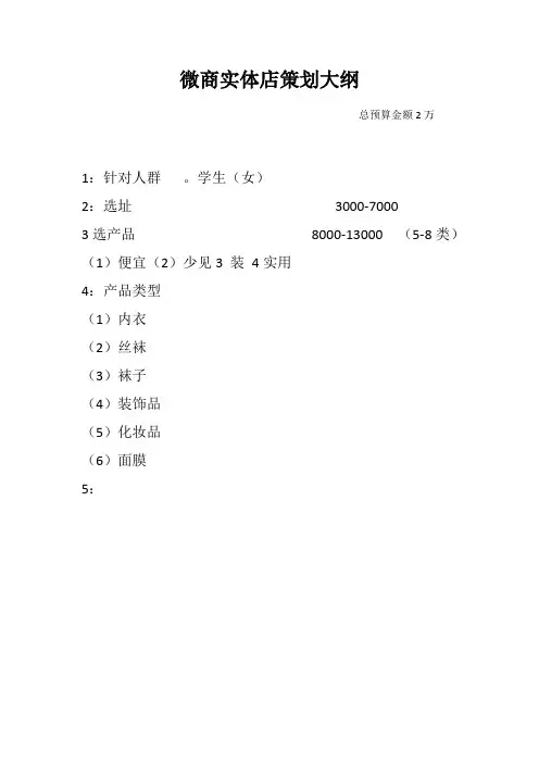 微商实体店策划大纲