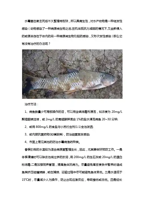 水霉病如何治疗