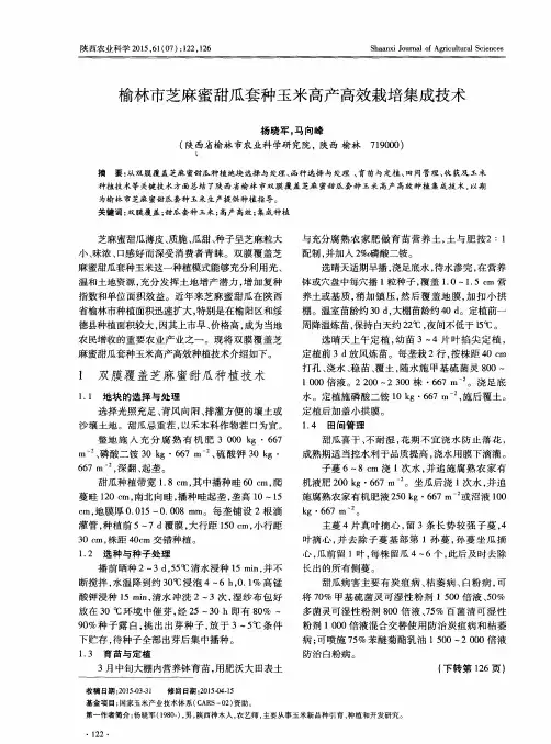 榆林市芝麻蜜甜瓜套种玉米高产高效栽培集成技术