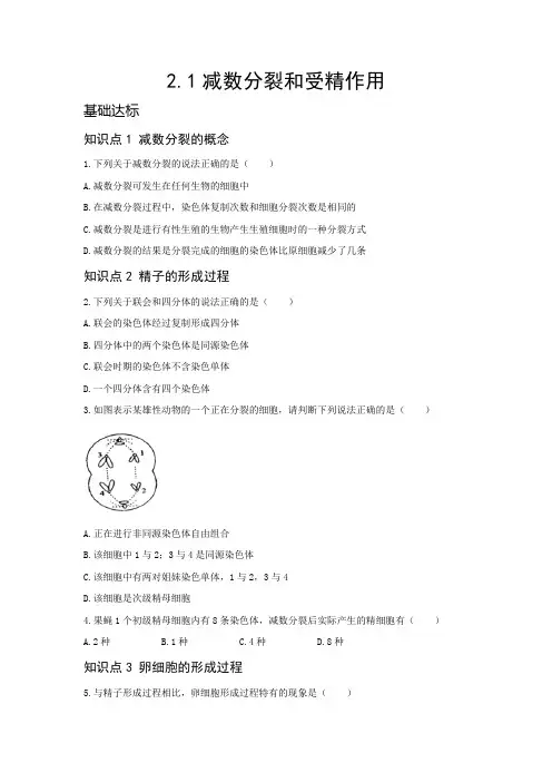 人教版 必修2 第2章 2.1 减数分裂和受精作用 练习