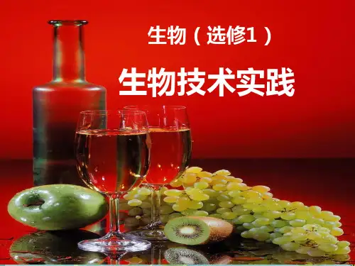 高中生物 选修一 第一轮复习 PPT课件 图文