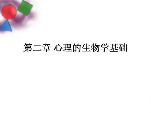 2010-2011-2 第二章 心理的生物学基础