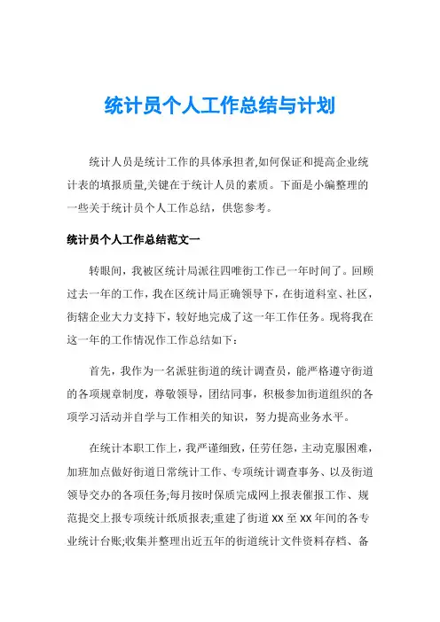 统计员个人工作总结与计划