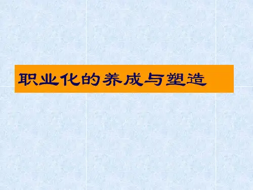 职业化的养成与塑造