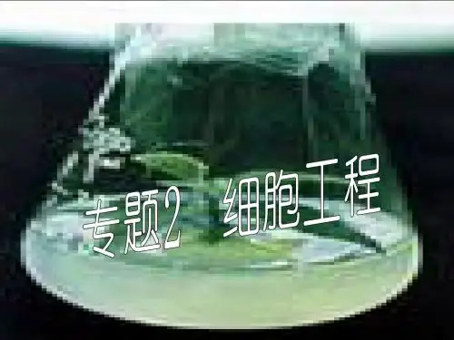 植物细胞工程的基本技术10922