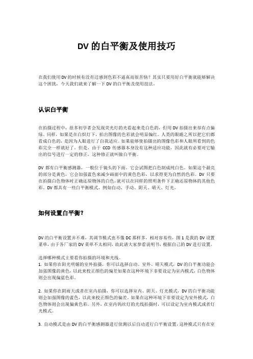 DV摄像机白平衡及使用技巧
