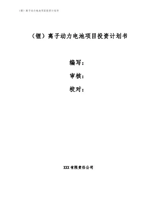 (锂)离子动力电池项目投资计划书