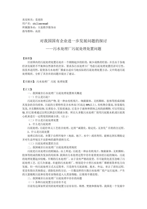 污水处理厂污泥处理处置问题
