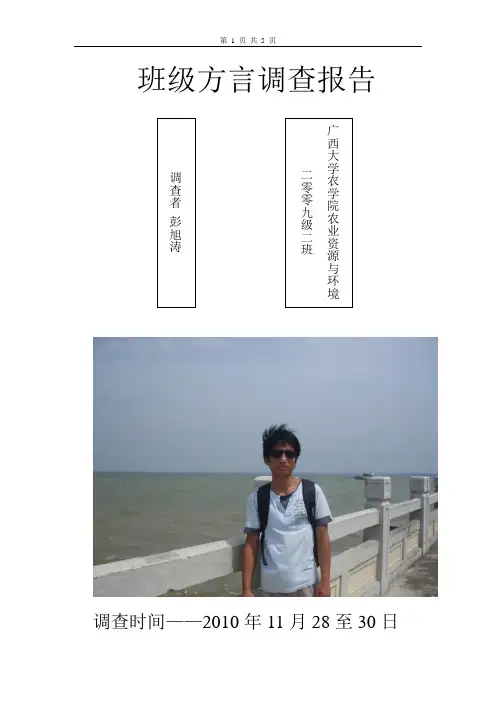 方言调查报告