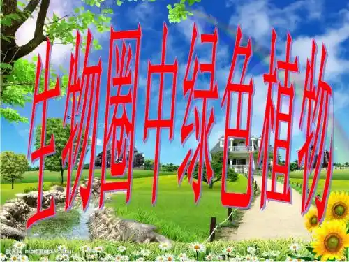 生物圈中的绿色植物