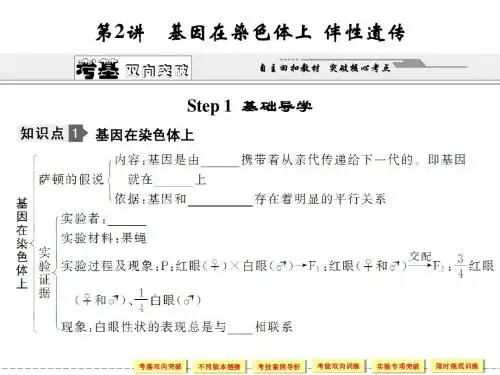 精品复习课件基因在染色体上  伴性遗传2-2-2