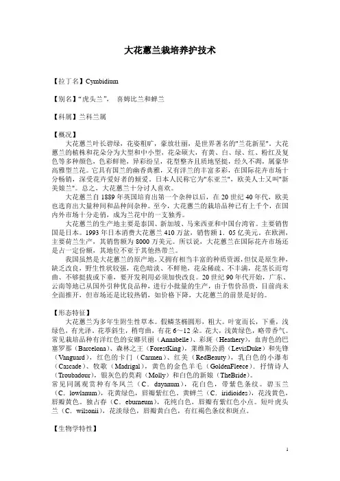 大花蕙兰栽培养护技术