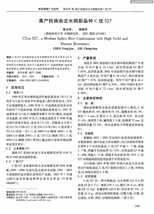 高产抗病杂交水稻新品种C优527