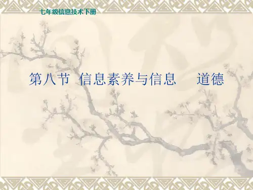 第二章第八节信息素养与信息道德