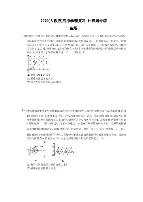 2020(人教版)高考物理复习 计算题专练 磁场(含答案解析)
