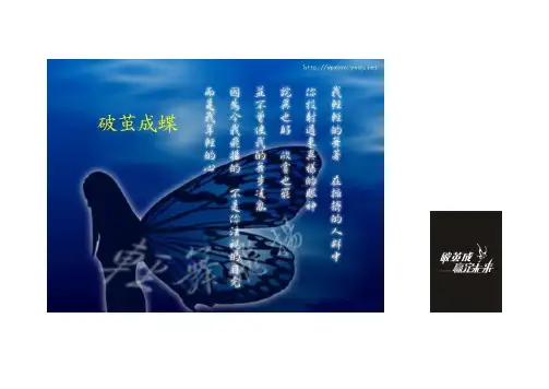 蚕文化图片