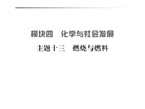 主题十三   燃烧与燃料