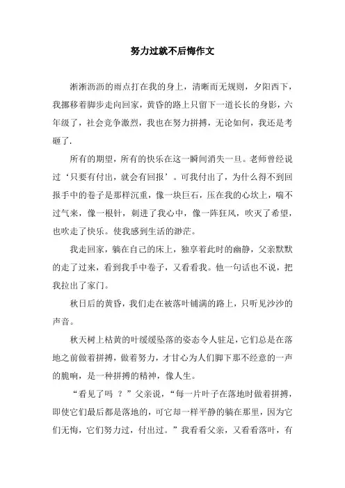 努力过就不后悔作文