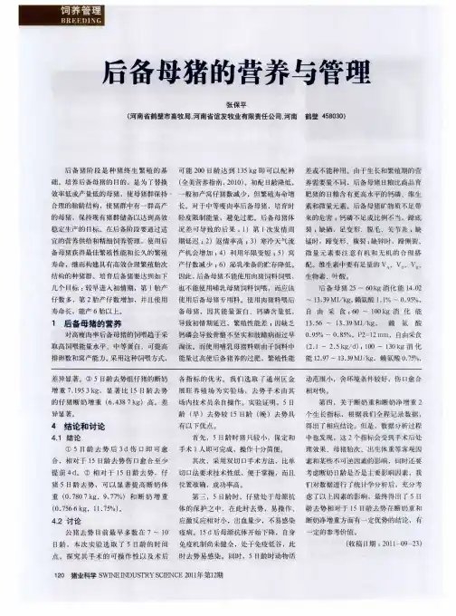 后备母猪的营养与管理
