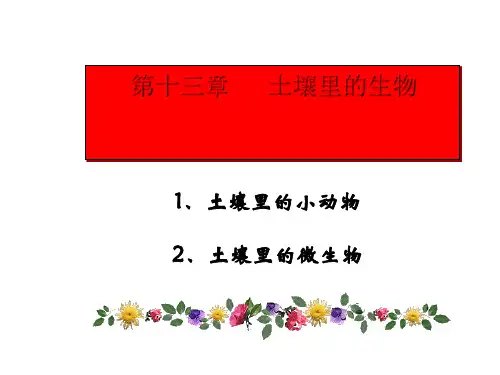 《土壤里的小动物》教学课件1 苏科版