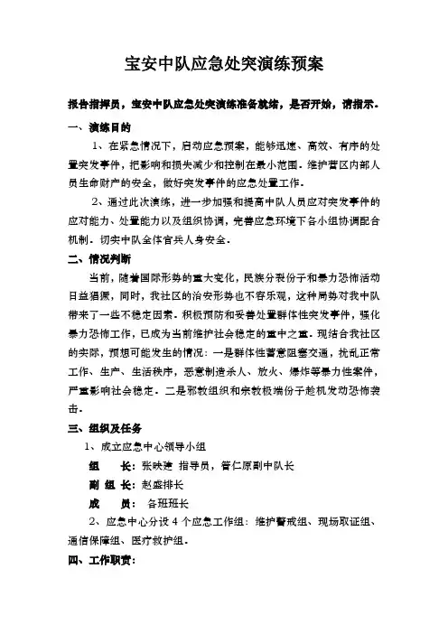 宝安中队应急处突演练预案