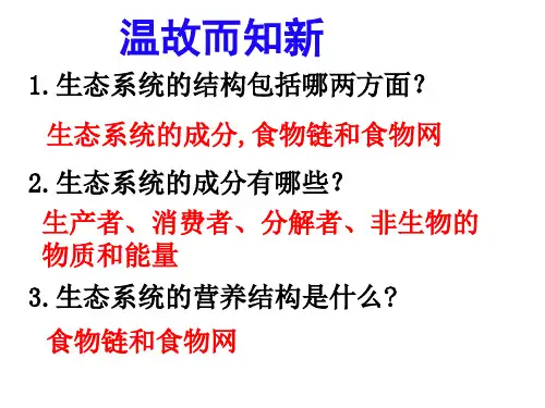 生态系统的能量流动ppt63