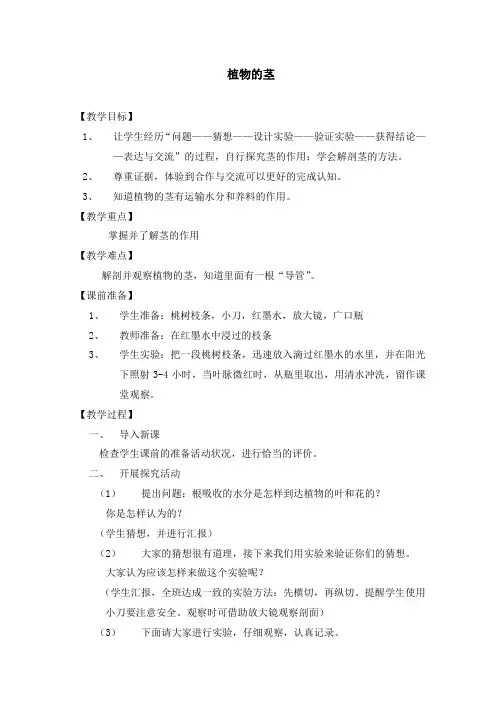 《植物的茎》教案2