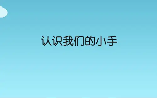 认识我们的小手