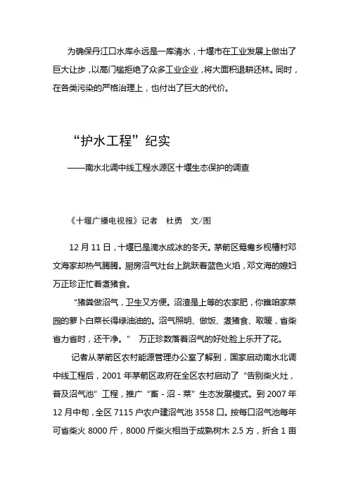 “护水工程”纪实