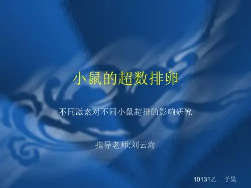 小鼠的超数排卵
