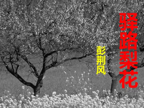 七年级语文下册驿路梨花课件PPTppt课件