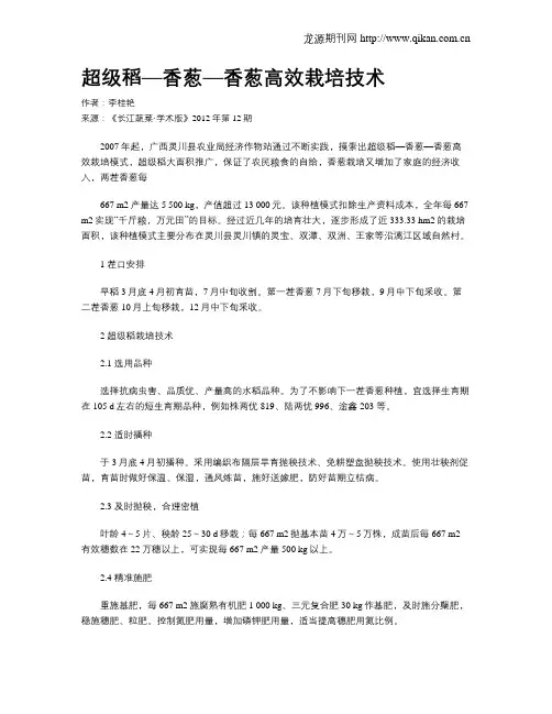 超级稻—香葱—香葱高效栽培技术