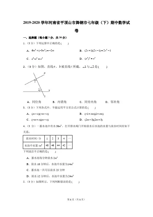 2019-2020学年河南省平顶山市舞钢市七年级(下)期中数学试卷