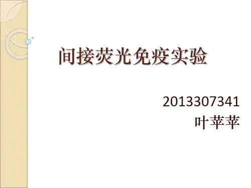 间接免疫荧光试验11.12