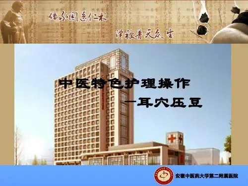 耳穴压豆PPT幻灯片
