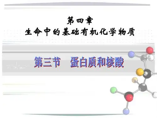人教版高中化学选修五4.3 蛋白质和核酸 课件