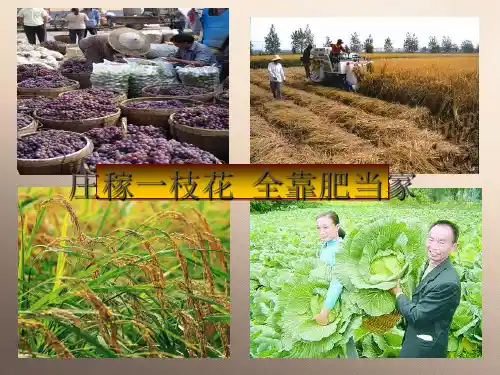 人教版初中化学九下11.2 化学肥料 课件  _7优秀课件