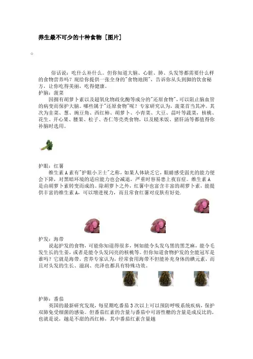 养生最不可少的十种食物