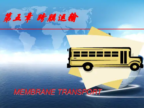细胞生物学五章(沈婷)