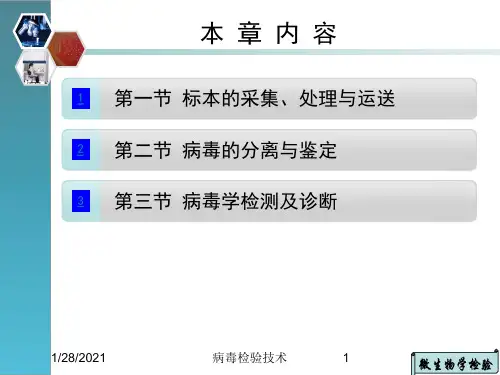 病毒检验技术培训课件