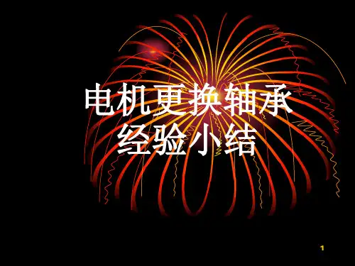 电机轴承更换经验总结PPT