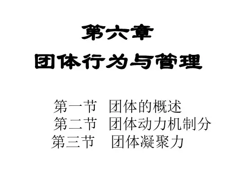 组织行为学6 群体 凝聚力