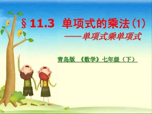 2015春青岛版数学七下11.3《单项式的乘法》课件