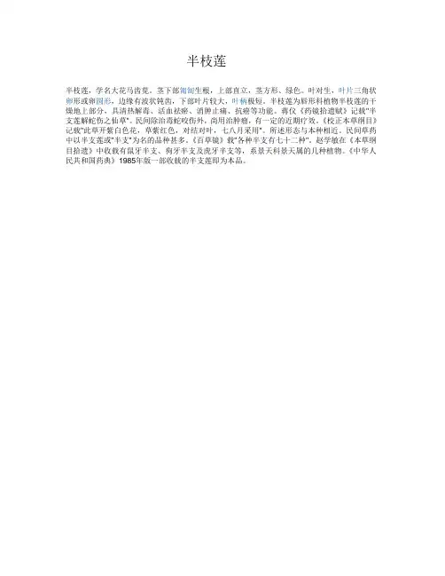 半枝莲