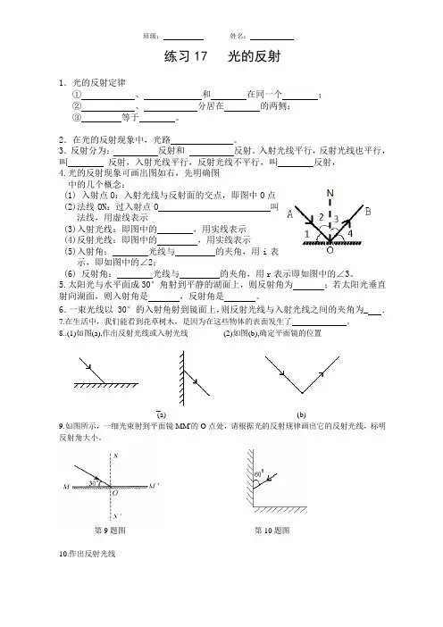 练习17 光的反射