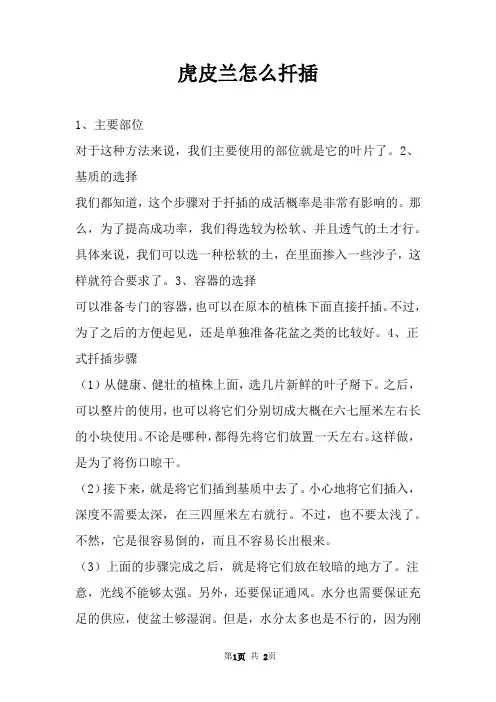 虎皮兰怎么扦插 